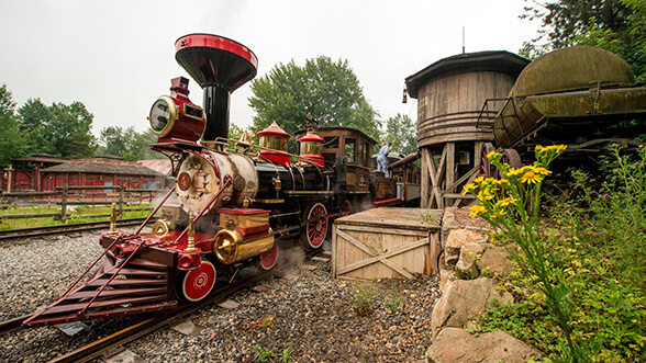 Disneyland railroad, Parque Disneyland