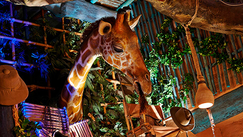 La Girafe Curieuse: ¡Descubre esta maravillosa tienda en Adventureland!