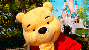 Encuentro con Winnie the Pooh o sus amigos: ¡Descubre y conoce a Winnie the Pooh y sus amigos!